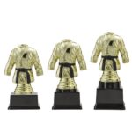 Judo Trofee Goud - PF351.1 - Afbeelding 2
