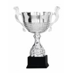 Classic Trophy 3