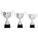 Classic Trophy 3 - Afbeelding 3