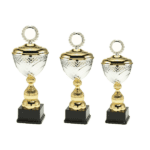 Grote Trofee - L1710 - Afbeelding 2