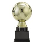 Volleybal Beker Goud - PF303.1