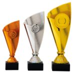 Budget Trofee - AK5670 - Afbeelding 2