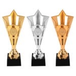 Beker Zwolle – Goud, Zilver & Brons – 20,5 cm - Afbeelding 2
