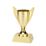 Budget Trofee - X610