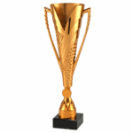 Grote Kampioensbeker Amsterdam – 36 cm - Afbeelding 3