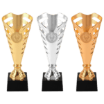 Sporttrofee Alkmaar – Goud, Zilver & Brons – 19,5 cm - Afbeelding 2