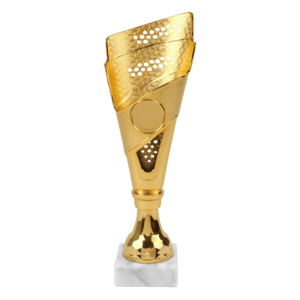 Trofee Daan – Goud, Zilver & Brons – 24 cm