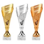 Trofee Daan – Goud, Zilver & Brons – 24 cm - Afbeelding 2